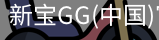 新宝GG